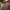Frau und Kind fahren mit Follow-Me Kupplung zuhause los